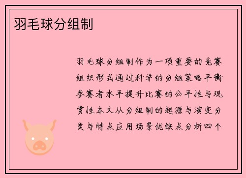 羽毛球分组制