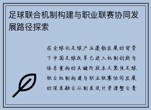 足球联合机制构建与职业联赛协同发展路径探索